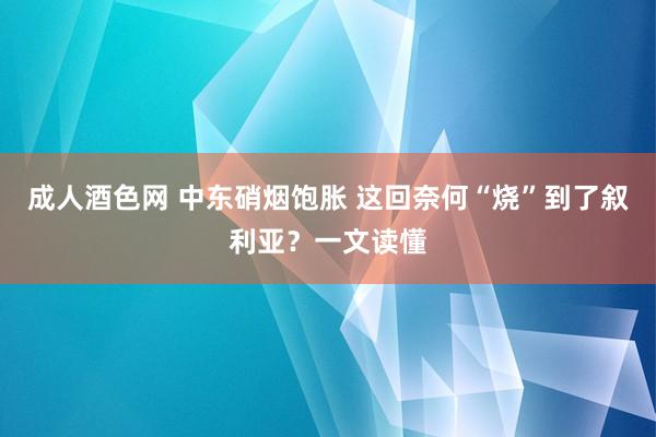 成人酒色网 中东硝烟饱胀 这回奈何“烧”到了叙利亚？一文读懂