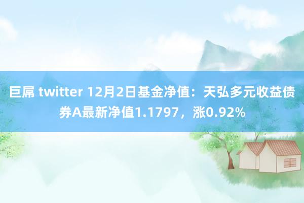 巨屌 twitter 12月2日基金净值：天弘多元收益债券A最新净值1.1797，涨0.92%