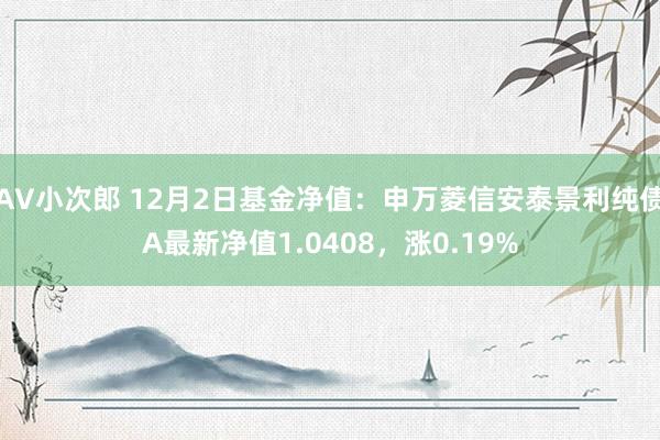 AV小次郎 12月2日基金净值：申万菱信安泰景利纯债A最新净值1.0408，涨0.19%