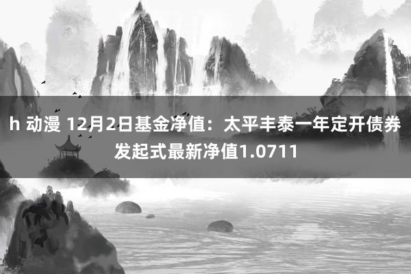 h 动漫 12月2日基金净值：太平丰泰一年定开债券发起式最新净值1.0711