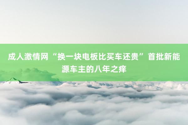 成人激情网 “换一块电板比买车还贵” 首批新能源车主的八年之痒