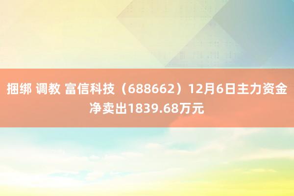 捆绑 调教 富信科技（688662）12月6日主力资金净卖出1839.68万元