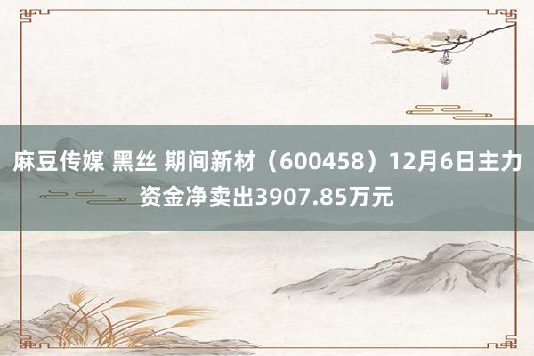 麻豆传媒 黑丝 期间新材（600458）12月6日主力资金净卖出3907.85万元