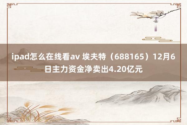 ipad怎么在线看av 埃夫特（688165）12月6日主力资金净卖出4.20亿元