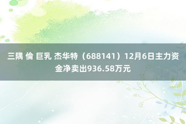 三隅 倫 巨乳 杰华特（688141）12月6日主力资金净卖出936.58万元