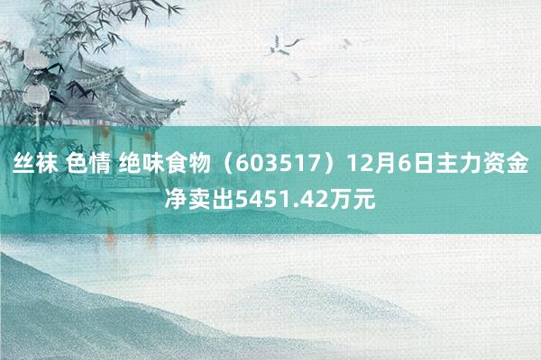 丝袜 色情 绝味食物（603517）12月6日主力资金净卖出5451.42万元