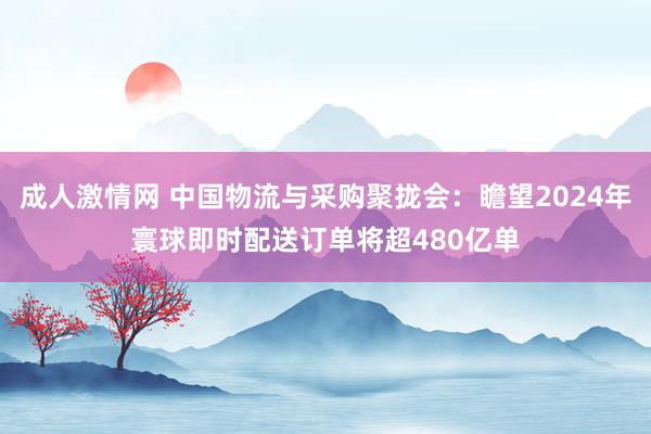 成人激情网 中国物流与采购聚拢会：瞻望2024年寰球即时配送订单将超480亿单