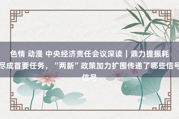 色情 动漫 中央经济责任会议深读｜鼎力提振耗尽成首要任务，“两新”政策加力扩围传递了哪些信号