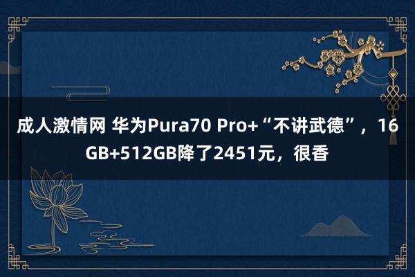 成人激情网 华为Pura70 Pro+“不讲武德”，16GB+512GB降了2451元，很香