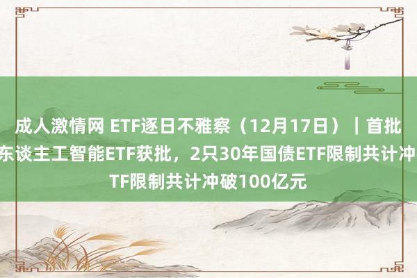 成人激情网 ETF逐日不雅察（12月17日）｜首批4只科创板东谈主工智能ETF获批，2只30年国债ETF限制共计冲破100亿元