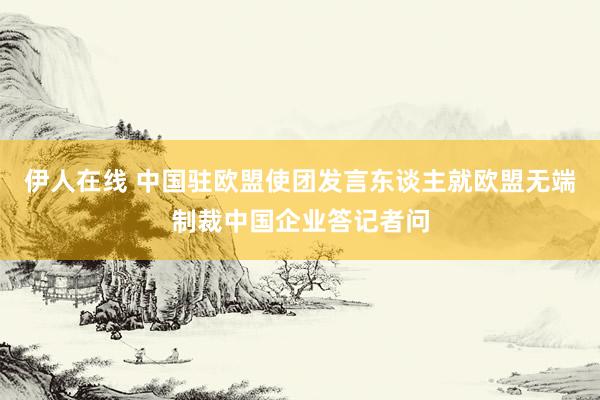 伊人在线 中国驻欧盟使团发言东谈主就欧盟无端制裁中国企业答记者问