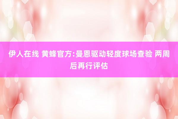 伊人在线 黄蜂官方:曼恩驱动轻度球场查验 两周后再行评估