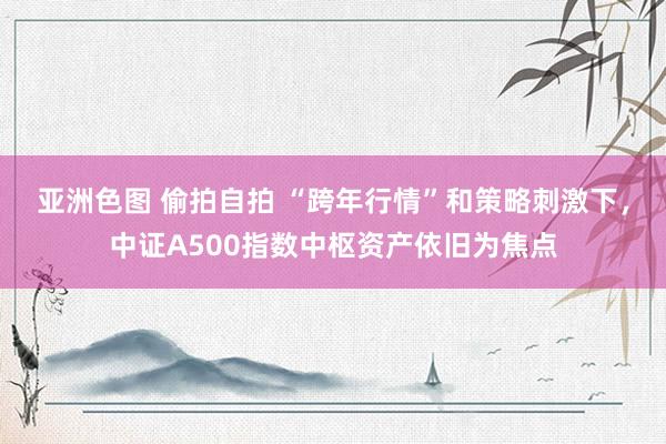 亚洲色图 偷拍自拍 “跨年行情”和策略刺激下，中证A500指数中枢资产依旧为焦点