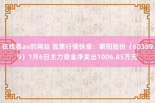 在线看av的网站 股票行情快报：朝阳股份（603899）1月6日主力资金净卖出1006.85万元