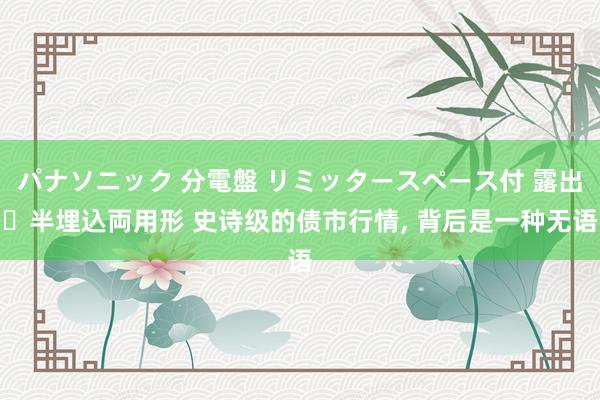 パナソニック 分電盤 リミッタースペース付 露出・半埋込両用形 史诗级的债市行情， 背后是一种无语