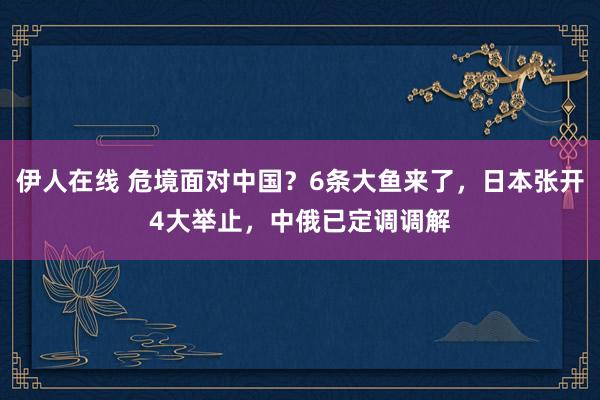 伊人在线 危境面对中国？6条大鱼来了，日本张开4大举止，中俄已定调调解