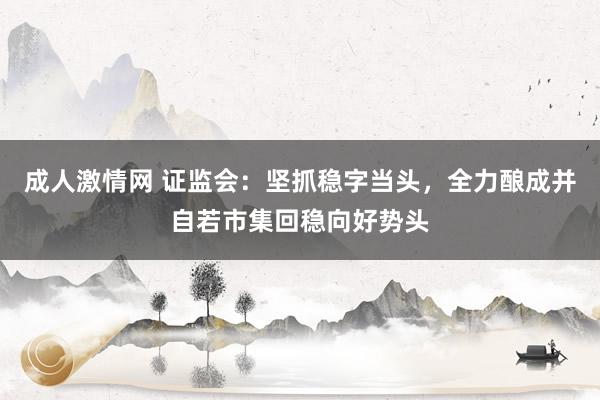 成人激情网 证监会：坚抓稳字当头，全力酿成并自若市集回稳向好势头