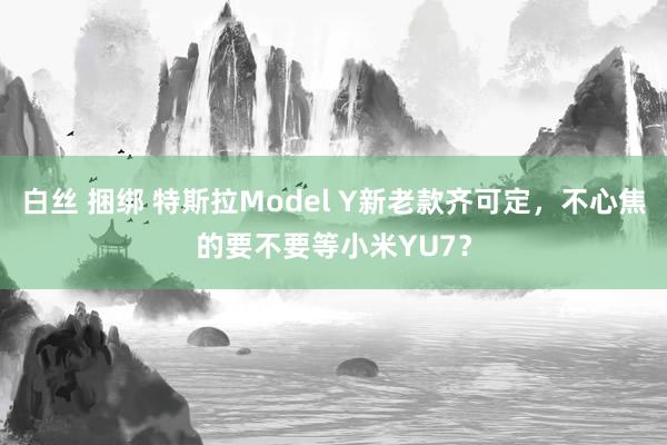 白丝 捆绑 特斯拉Model Y新老款齐可定，不心焦的要不要等小米YU7？