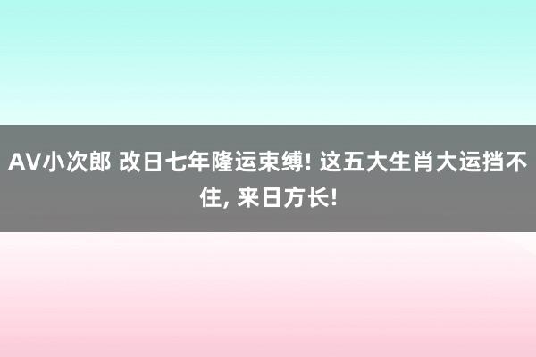 AV小次郎 改日七年隆运束缚! 这五大生肖大运挡不住， 来日方长!